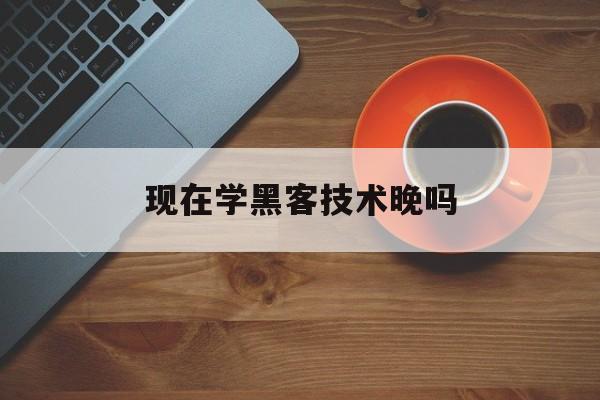 现在学黑客技术晚吗（自学黑客技术难吗）