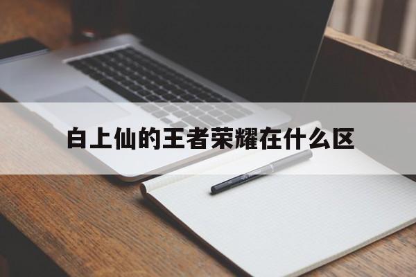 白上仙的王者荣耀在什么区（王者荣耀白上仙在哪里直播）