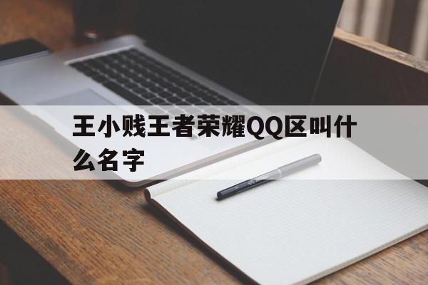 王小贱王者荣耀QQ区叫什么名字（王小贱王者荣耀名字是什么）