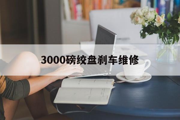 3000磅绞盘刹车维修（abs总磅维修）