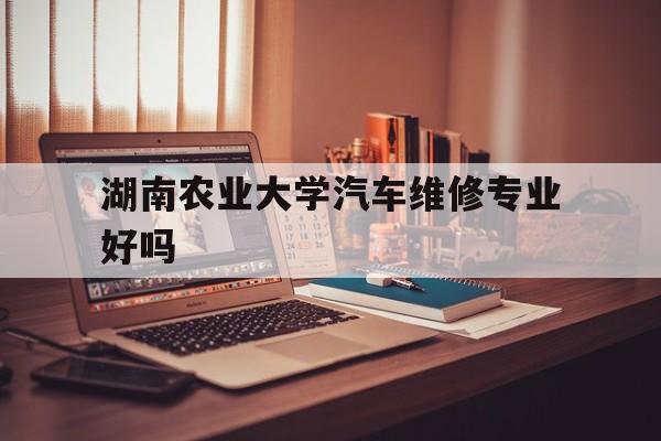 湖南农业大学汽车维修专业好吗（湖南学汽修的职业技术学院）