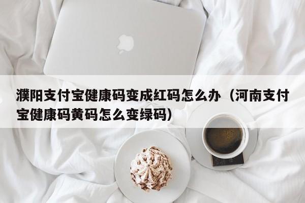 濮阳支付宝健康码变成红码怎么办（河南支付宝健康码黄码怎么变绿码）