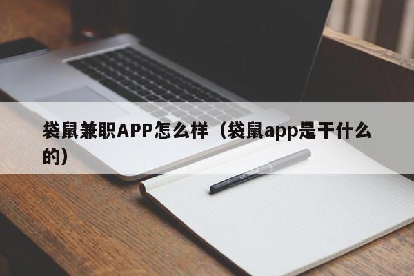 袋鼠兼职APP怎么样（袋鼠app是干什么的）