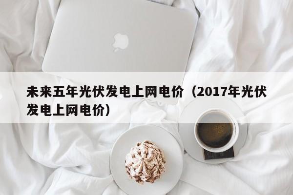 未来五年光伏发电上网电价（2017年光伏发电上网电价）