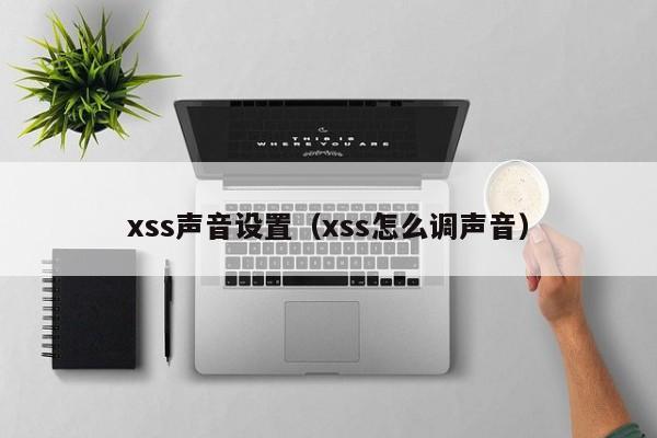 xss声音设置（xss怎么调声音）