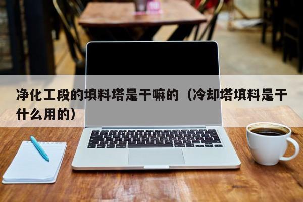 净化工段的填料塔是干嘛的（冷却塔填料是干什么用的）