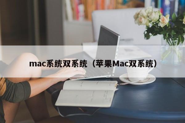 mac系统双系统（苹果Mac双系统）