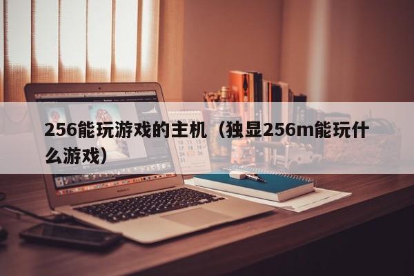 256能玩游戏的主机（独显256m能玩什么游戏）