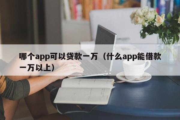 哪个app可以贷款一万（什么app能借款一万以上）