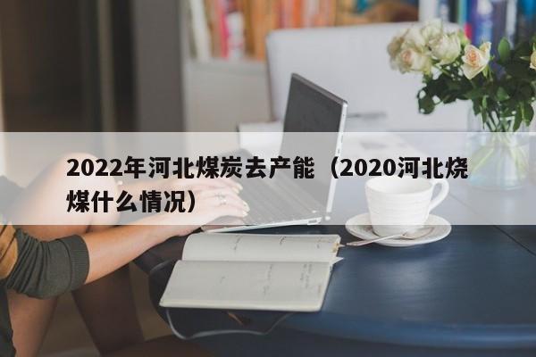 2022年河北煤炭去产能（2020河北烧煤什么情况）