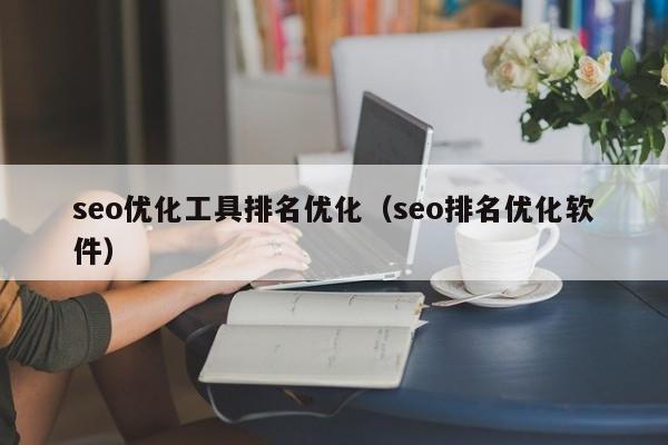 seo优化工具排名优化（seo排名优化软件）