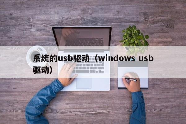 系统的usb驱动（windows usb驱动）