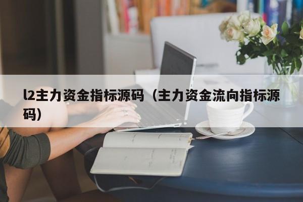 l2主力资金指标源码（主力资金流向指标源码）