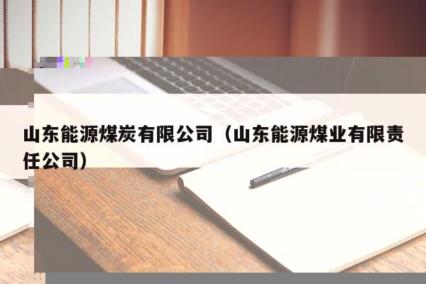 山东能源煤炭有限公司（山东能源煤业有限责任公司）