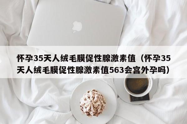 怀孕35天人绒毛膜促性腺激素值（怀孕35天人绒毛膜促性腺激素值563会宫外孕吗）