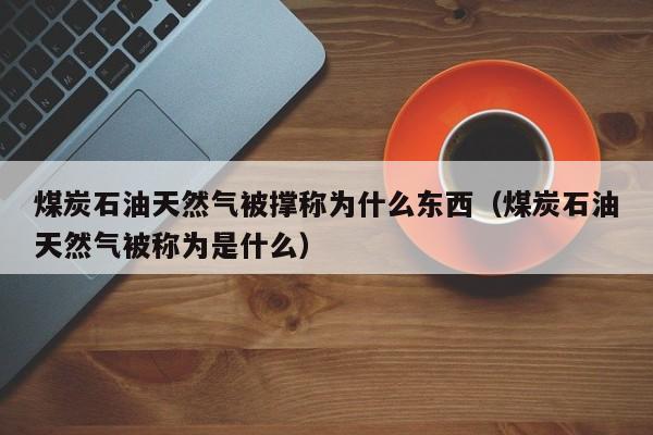 煤炭石油天然气被撑称为什么东西（煤炭石油天然气被称为是什么）