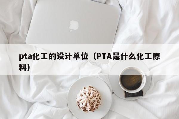 pta化工的设计单位（PTA是什么化工原料）