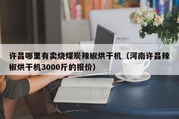 许昌哪里有卖烧煤炭辣椒烘干机（河南许昌辣椒烘干机3000斤的报价）