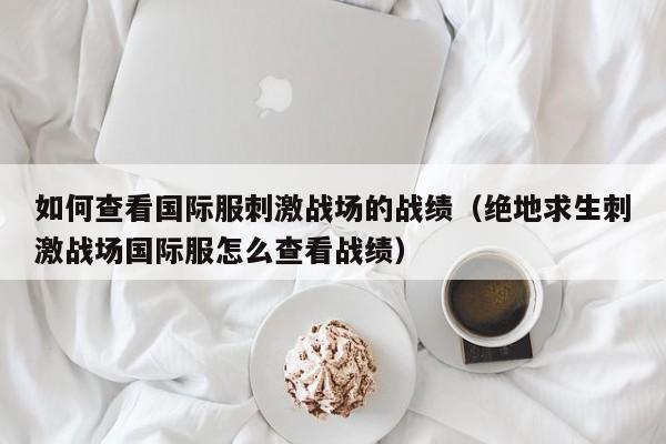 如何查看国际服刺激战场的战绩（绝地求生刺激战场国际服怎么查看战绩）