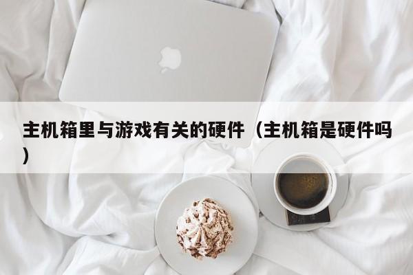 主机箱里与游戏有关的硬件（主机箱是硬件吗）