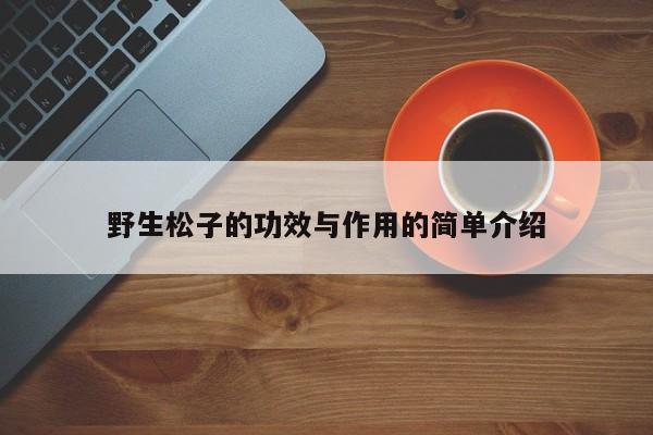 野生松子的功效与作用的简单介绍
