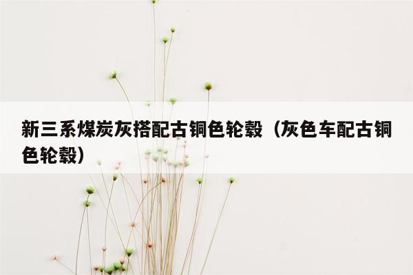 新三系煤炭灰搭配古铜色轮毂（灰色车配古铜色轮毂）