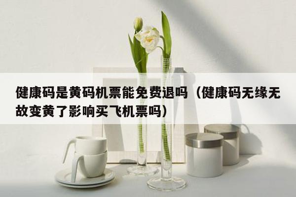 健康码是黄码机票能免费退吗（健康码无缘无故变黄了影响买飞机票吗）