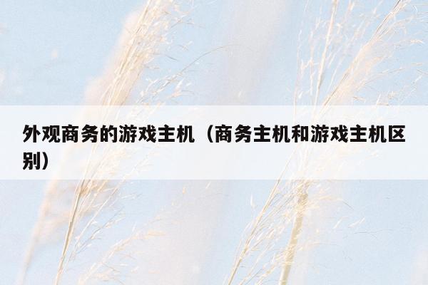 外观商务的游戏主机（商务主机和游戏主机区别）