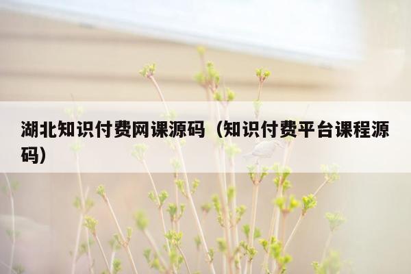 湖北知识付费网课源码（知识付费平台课程源码）