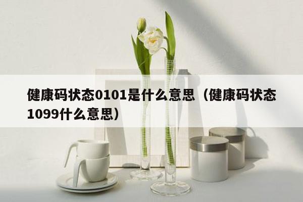 健康码状态0101是什么意思（健康码状态1099什么意思）