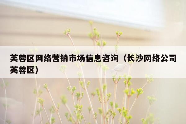 芙蓉区网络营销市场信息咨询（长沙网络公司芙蓉区）