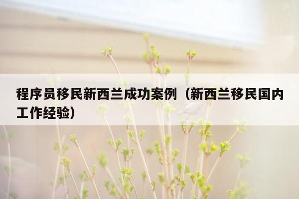 程序员移民新西兰成功案例（新西兰移民国内工作经验）