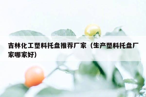 吉林化工塑料托盘推荐厂家（生产塑料托盘厂家哪家好）