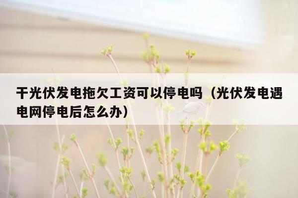 干光伏发电拖欠工资可以停电吗（光伏发电遇电网停电后怎么办）