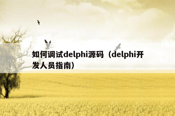 如何调试delphi源码（delphi开发人员指南）