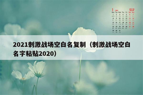 2021刺激战场空白名复制（刺激战场空白名字粘贴2020）