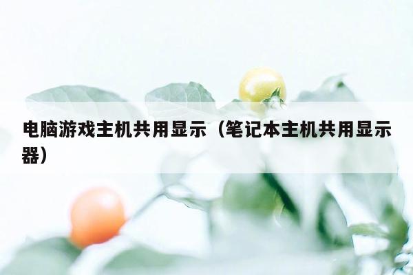 电脑游戏主机共用显示（笔记本主机共用显示器）