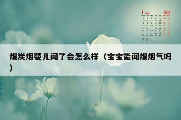 煤炭烟婴儿闻了会怎么样（宝宝能闻煤烟气吗）