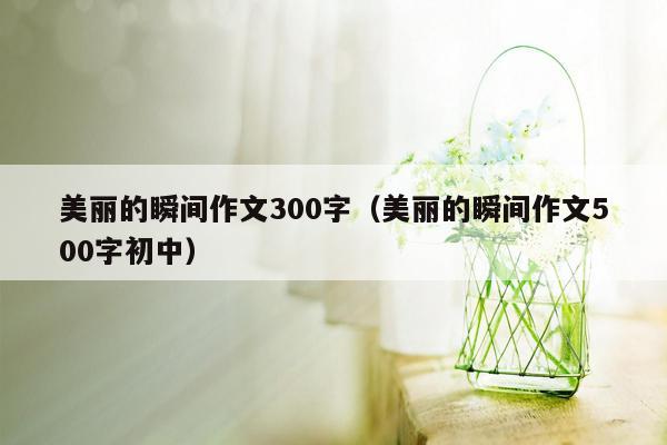 美丽的瞬间作文300字（美丽的瞬间作文500字初中）