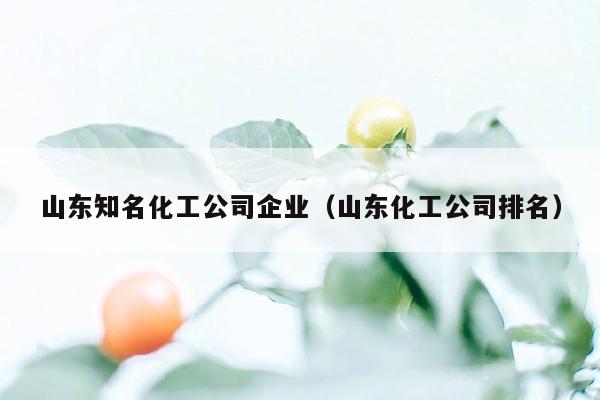 山东知名化工公司企业（山东化工公司排名）