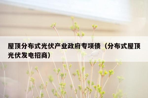 屋顶分布式光伏产业政府专项债（分布式屋顶光伏发电招商）