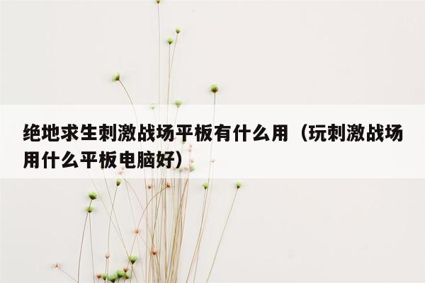 绝地求生刺激战场平板有什么用（玩刺激战场用什么平板电脑好）