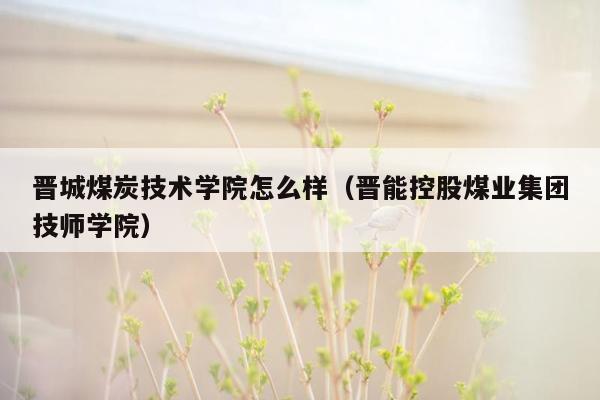 晋城煤炭技术学院怎么样（晋能控股煤业集团技师学院）