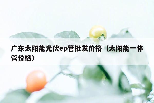 广东太阳能光伏ep管批发价格（太阳能一体管价格）