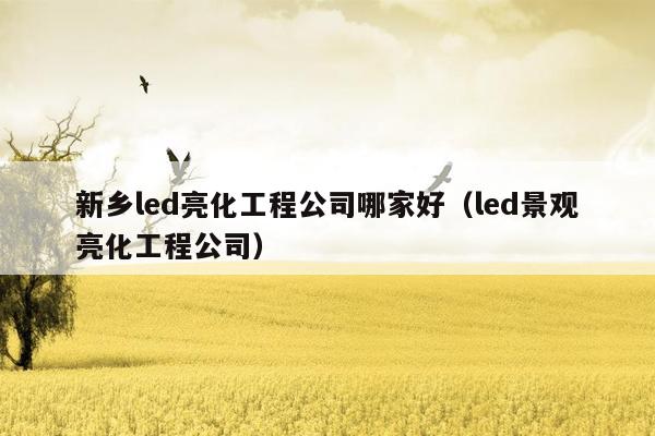 新乡led亮化工程公司哪家好（led景观亮化工程公司）