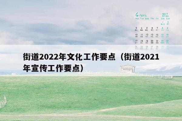 街道2022年文化工作要点（街道2021年宣传工作要点）