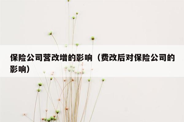 保险公司营改增的影响（费改后对保险公司的影响）