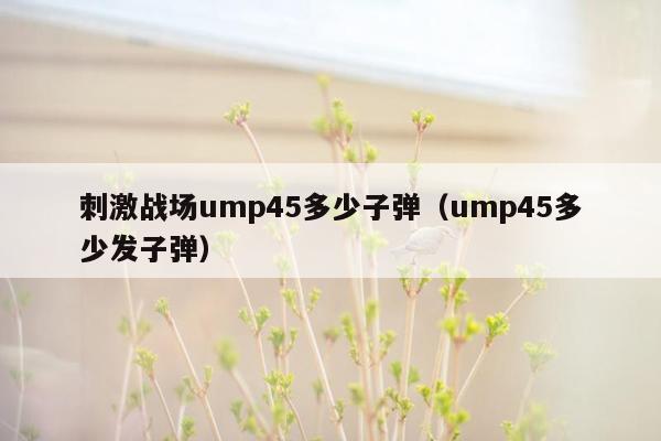 刺激战场ump45多少子弹（ump45多少发子弹）