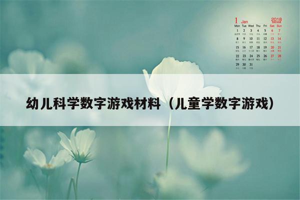 幼儿科学数字游戏材料（儿童学数字游戏）