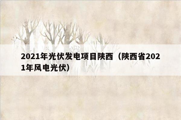 2021年光伏发电项目陕西（陕西省2021年风电光伏）